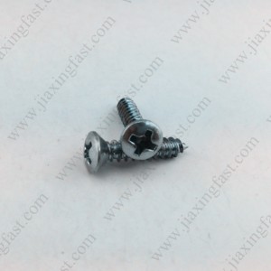 Philips Oval Head Tapping Screws