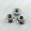 Stainless steel Hex Flange Nuts